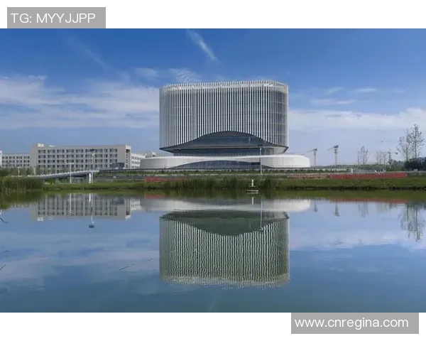 杭州乒乓球队重塑辉煌的反击之路与创新策略探讨